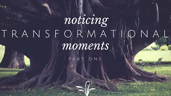Noticing Transformational Moments: Part 1