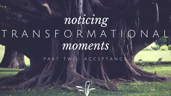 Noticing Transformational Moments: Part 2